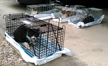 f:id:timshel:20211012233408j:plain