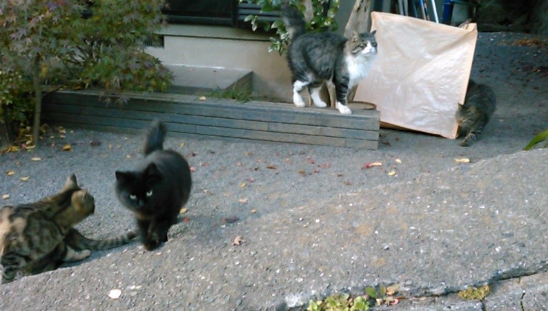 f:id:timshel:20211127035033j:plain