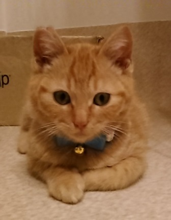 f:id:timshel:20211231174901j:plain