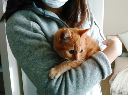 f:id:timshel:20211231175429j:plain