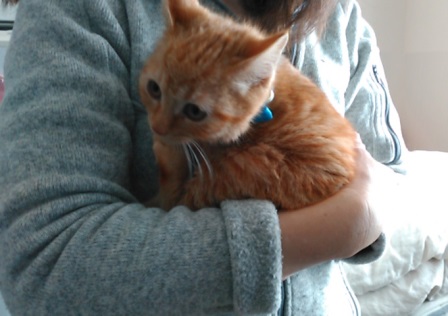 f:id:timshel:20211231175442j:plain