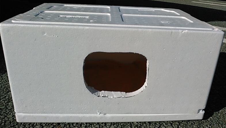 f:id:timshel:20220122232151j:plain