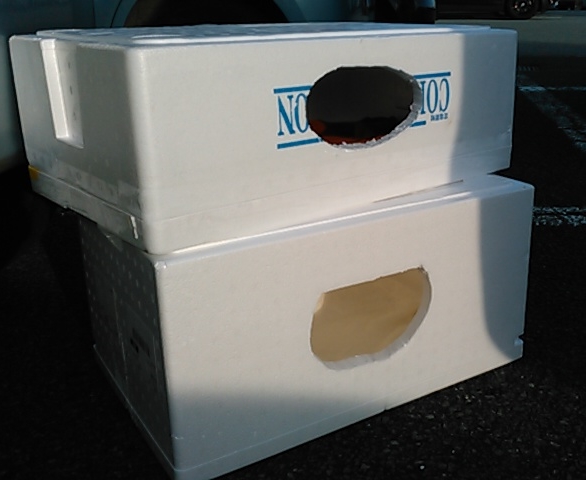 f:id:timshel:20220122232408j:plain