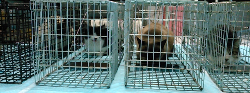 f:id:timshel:20220122232809j:plain