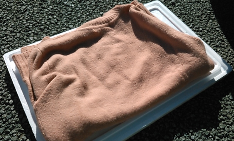 f:id:timshel:20220122234626j:plain