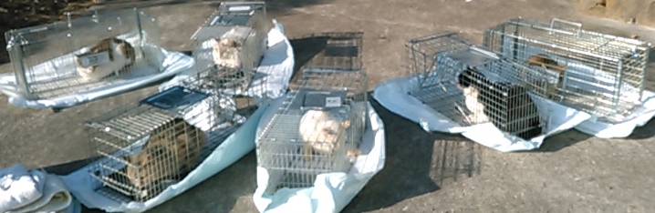 f:id:timshel:20220129012910j:plain