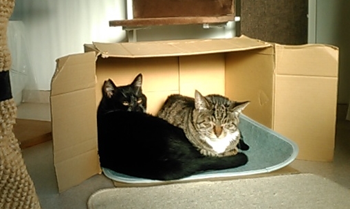 f:id:timshel:20220303025029j:plain