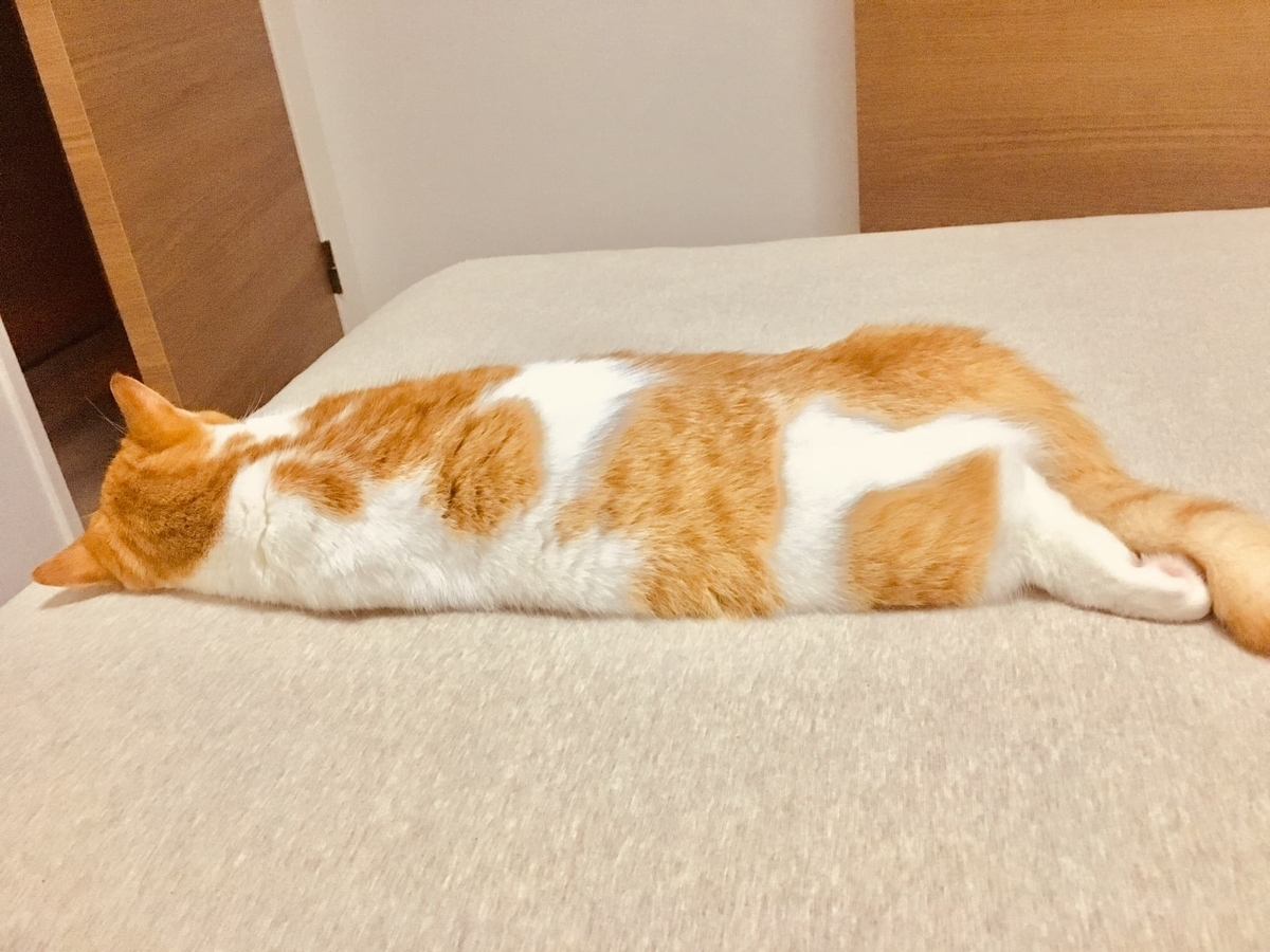 ちくわモードのるるちゃん2