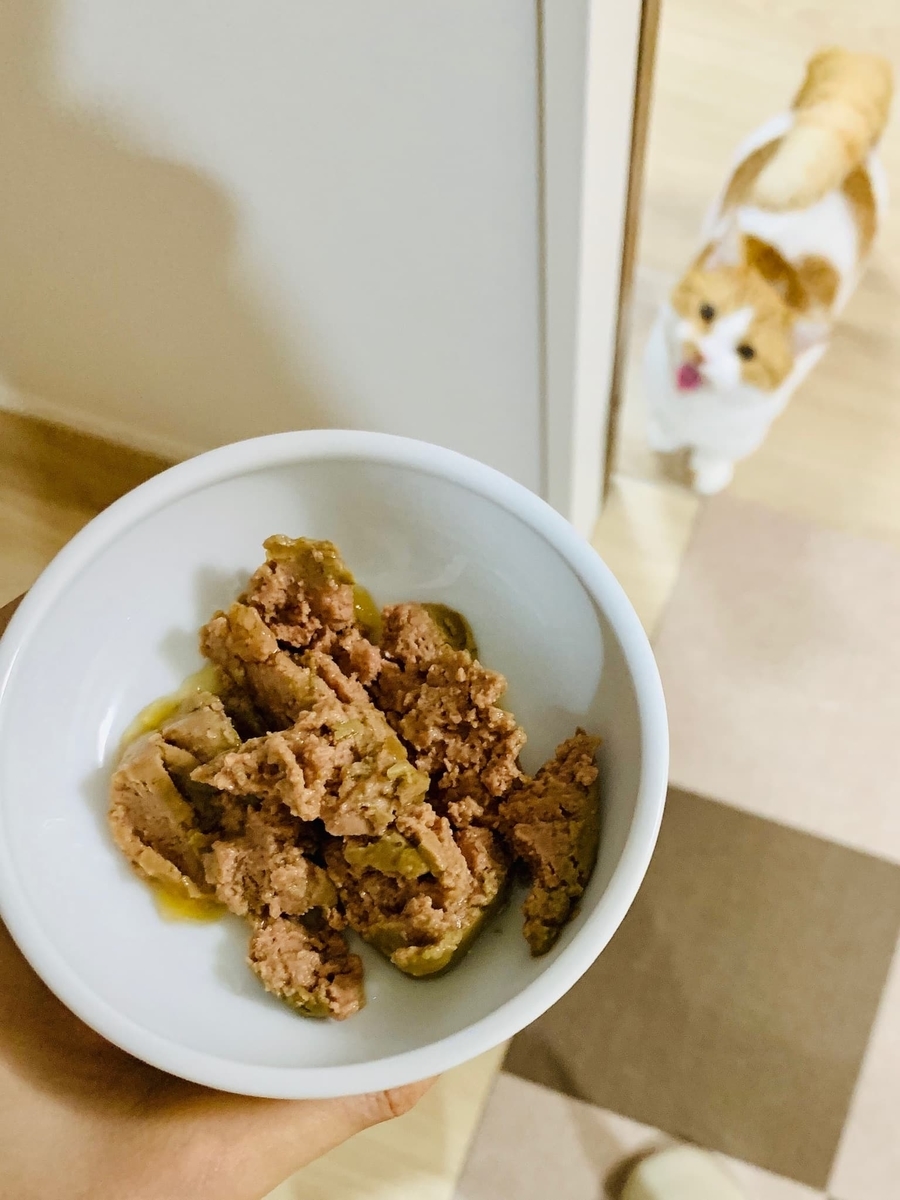 ご飯を待つるるちゃん