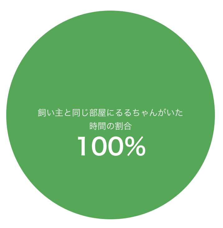1日目の調査結果