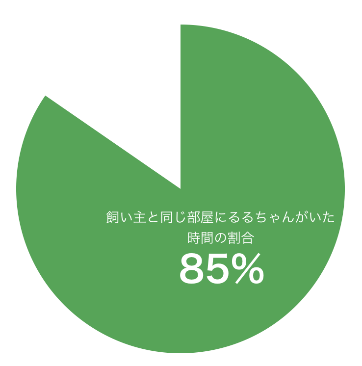 2日目の調査結果