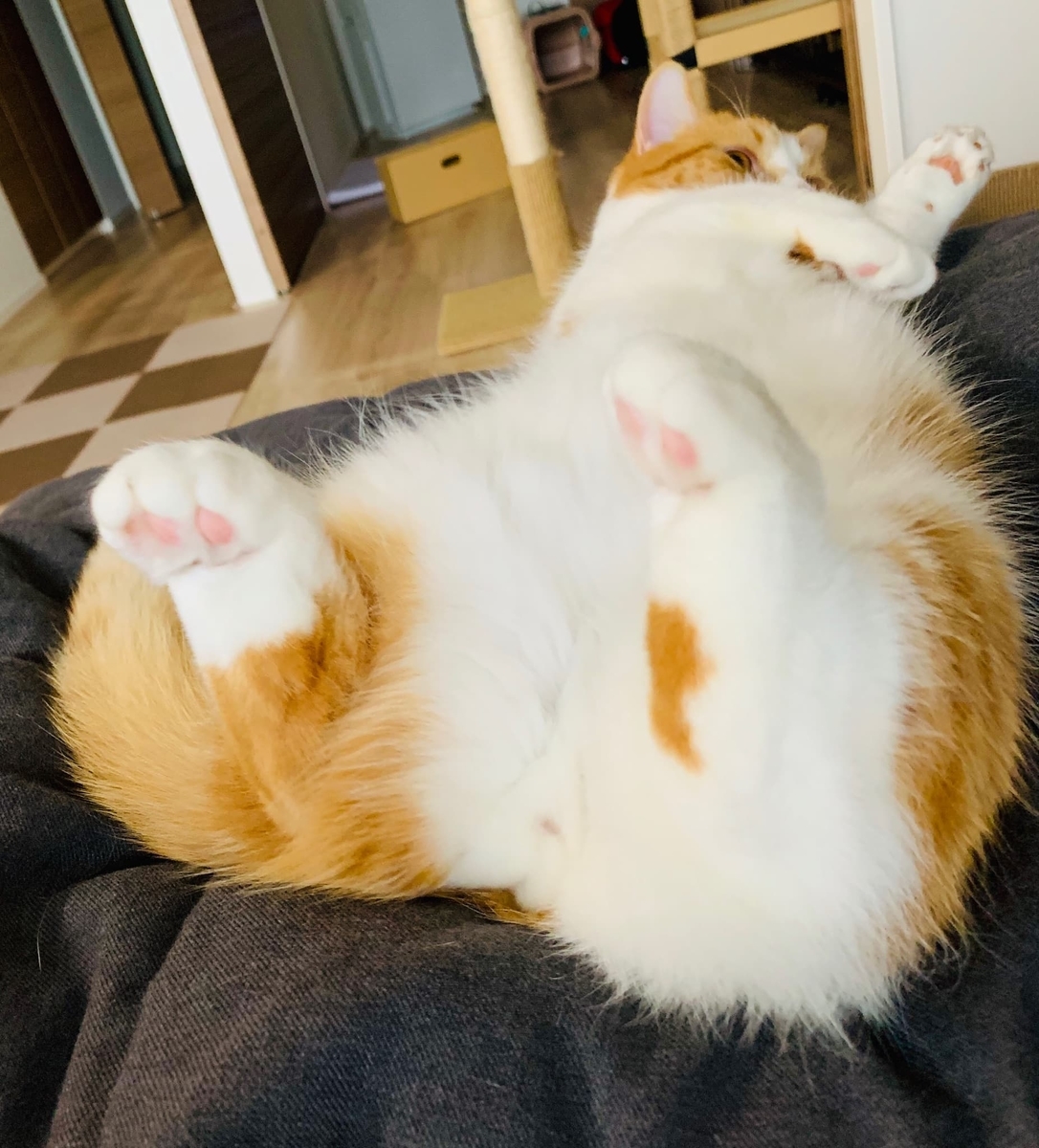 足ドアップなるるちゃん1