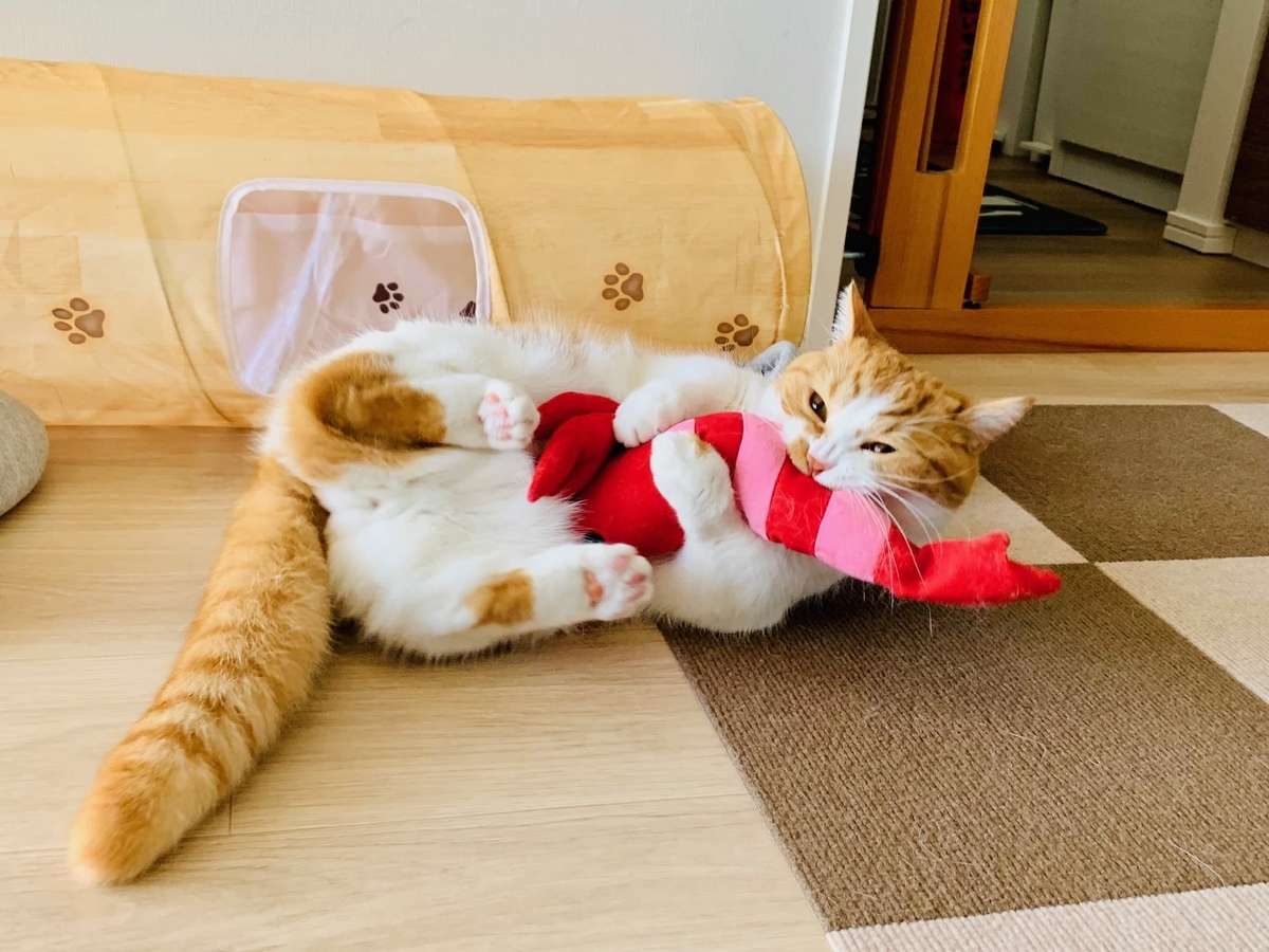 エビと格闘するるるちゃん2