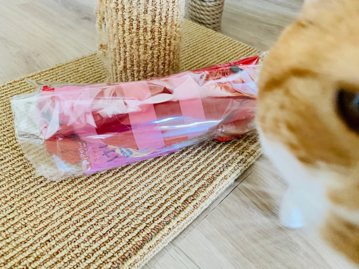 新しいエビ2