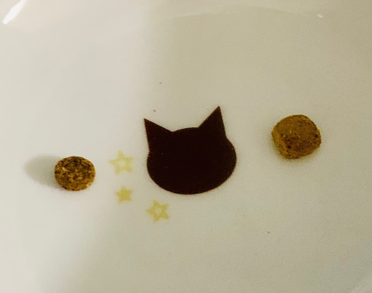 カリカリの大きさ比べ2