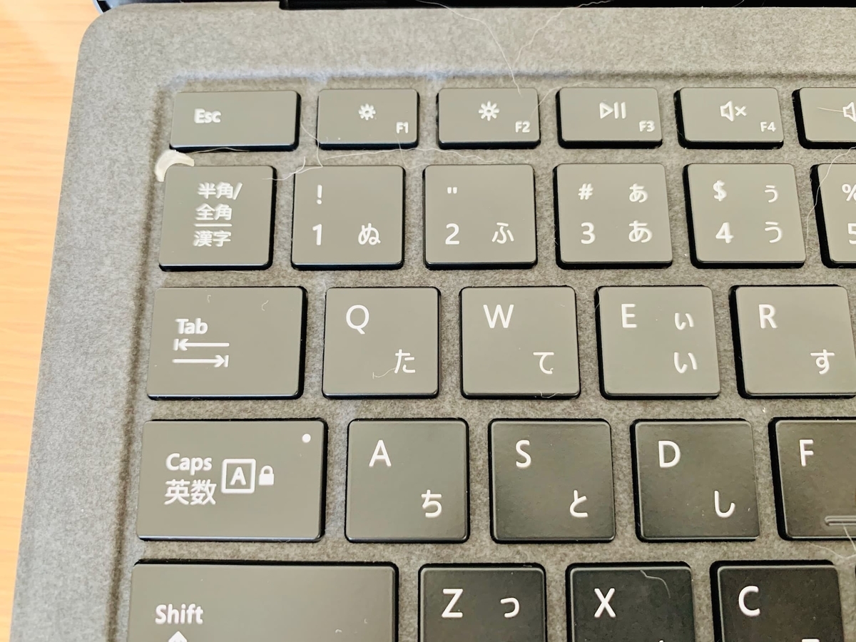 キーボードに乗るるるちゃん5