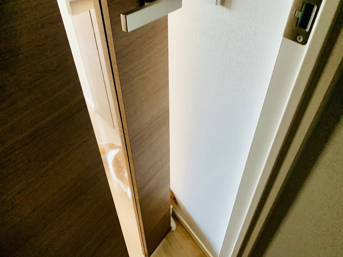 隙間をうまく引くるるちゃん1