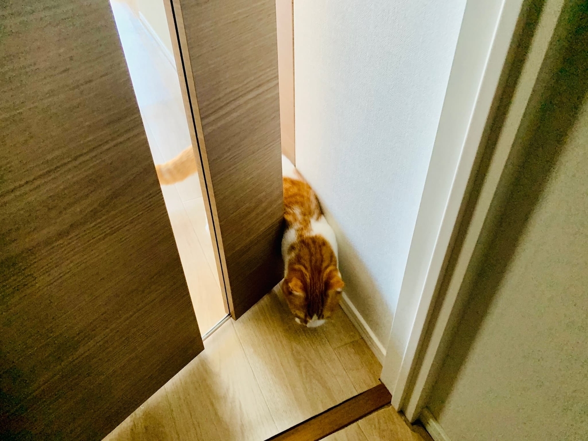 隙間をうまく引くるるちゃん3