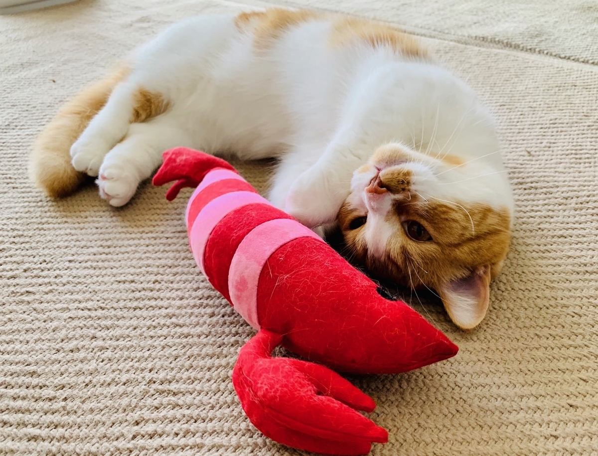 エビとるるちゃん10