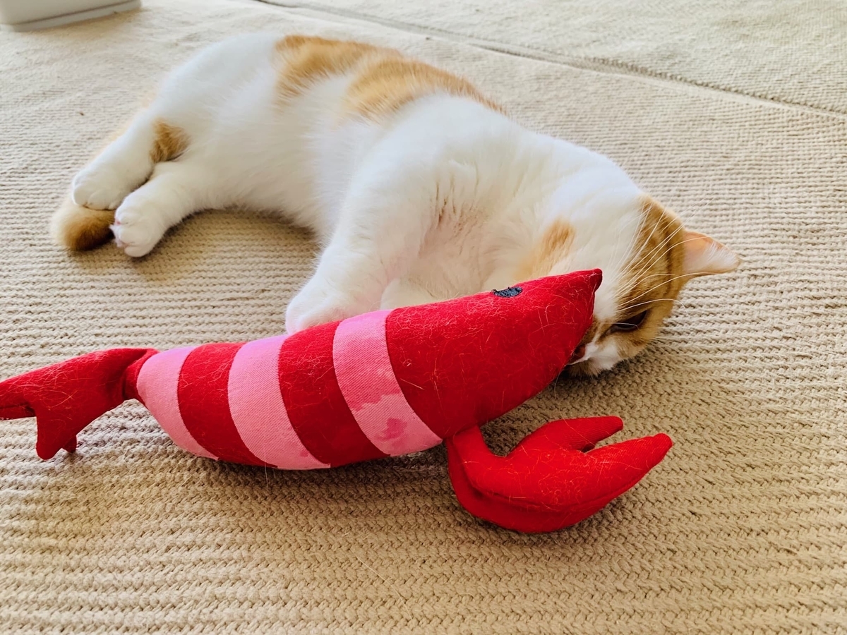 エビとるるちゃん12