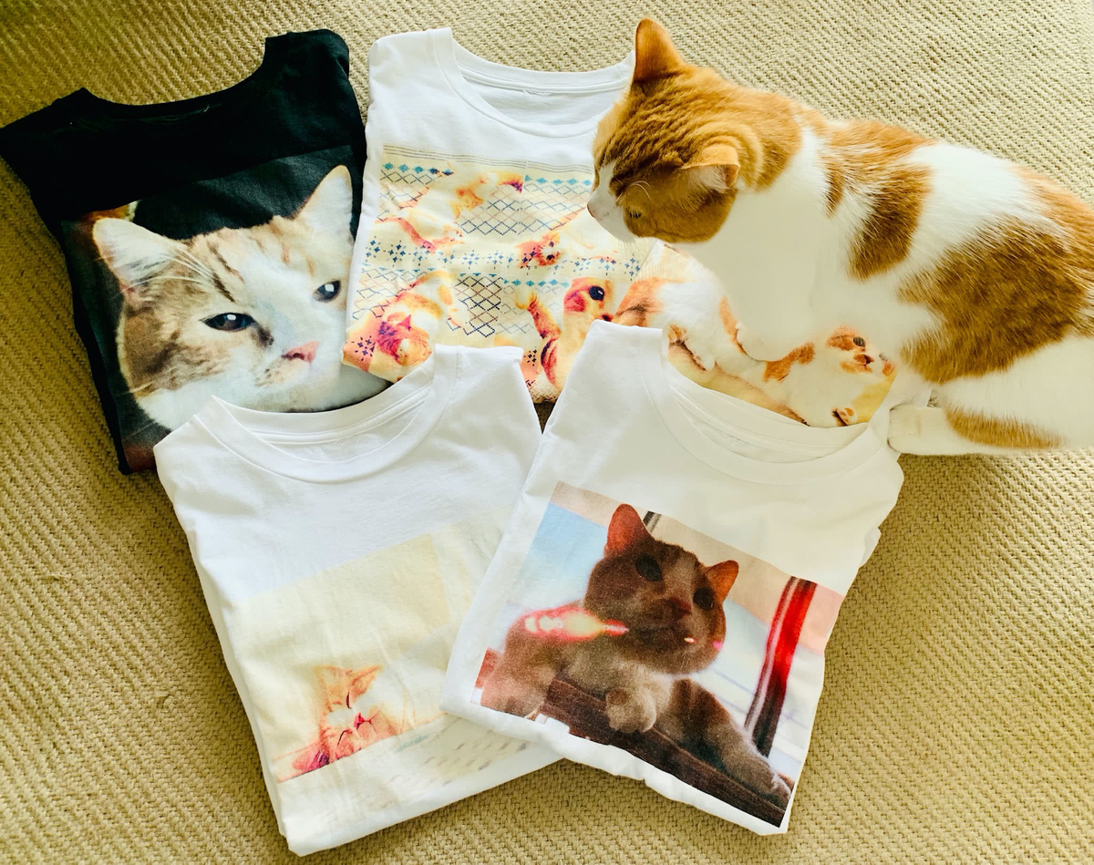 愛猫のTシャツ1