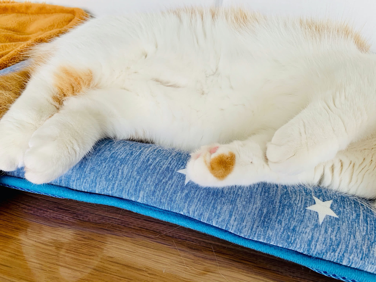 るるちゃんのお手々のチャームポイント3