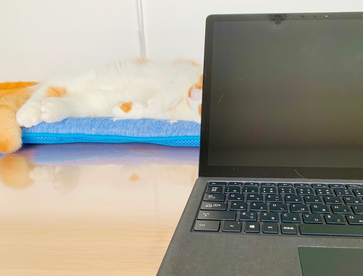 るるちゃんのお手々のチャームポイント1