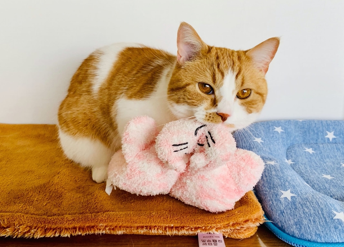 ふみふみクッションとるるちゃん