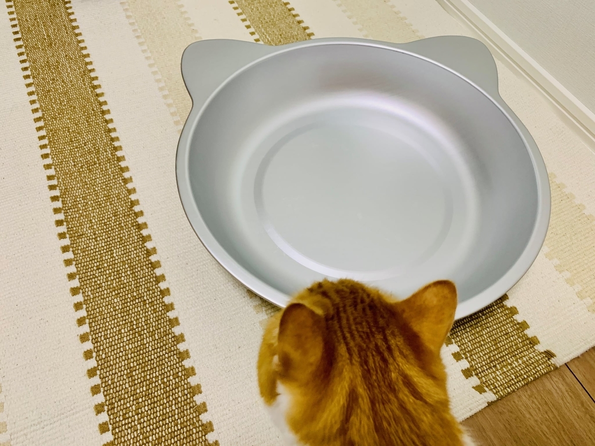 猫鍋に近くるるちゃん