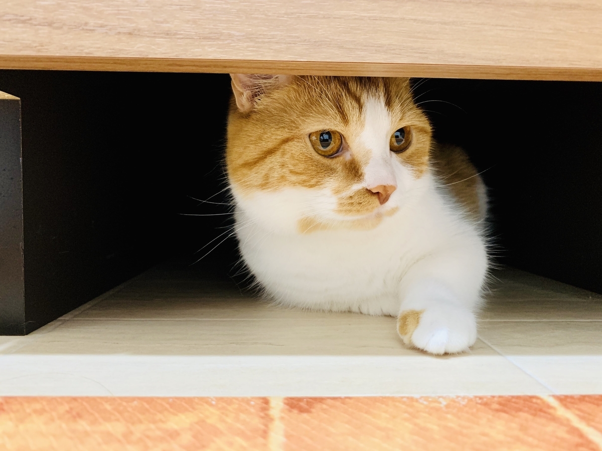 るるちゃん的リラックスポーズ5