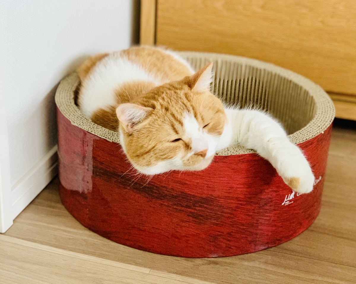 るるちゃん的リラックスポーズ2