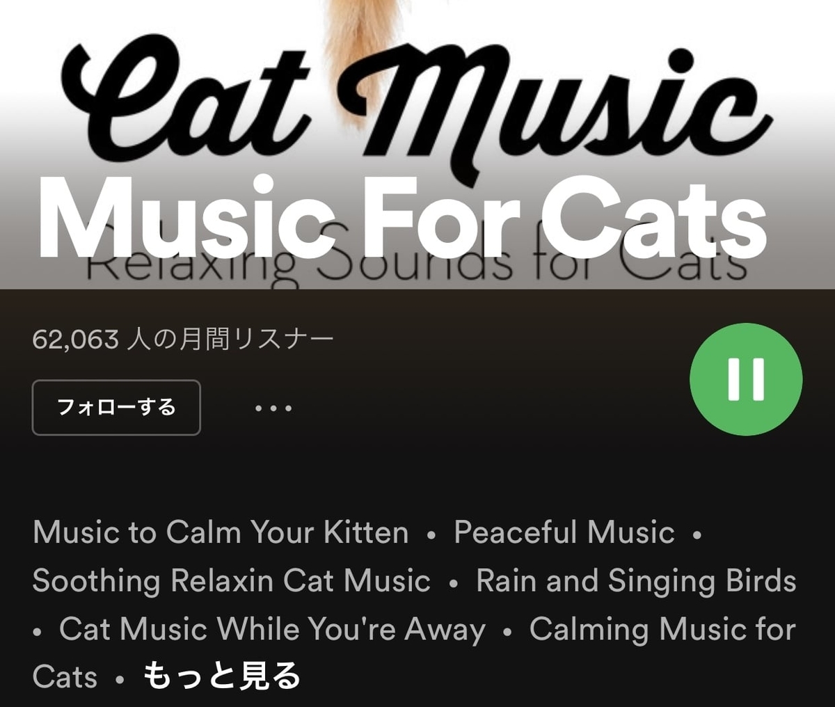 Spotifyのプレイリスト