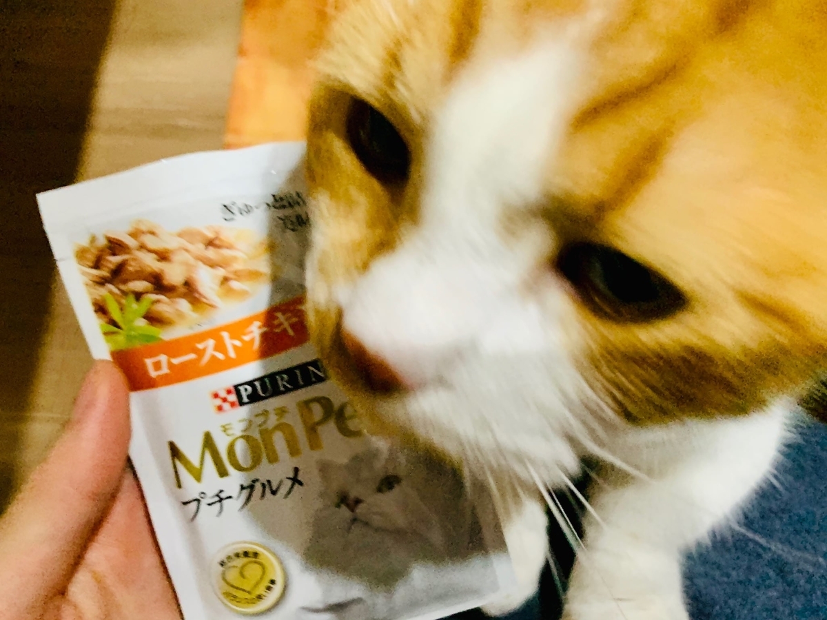 モンプチのご飯とるるちゃん1