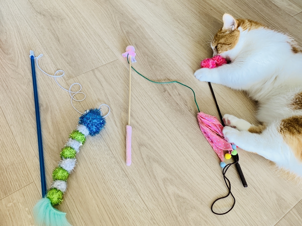 おもちゃでじゃれるるるちゃん5