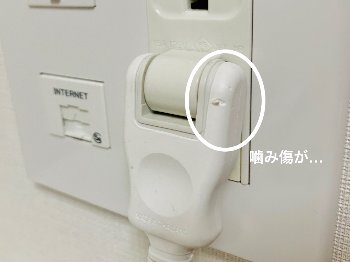 るるちゃんに噛まれている延長コード2