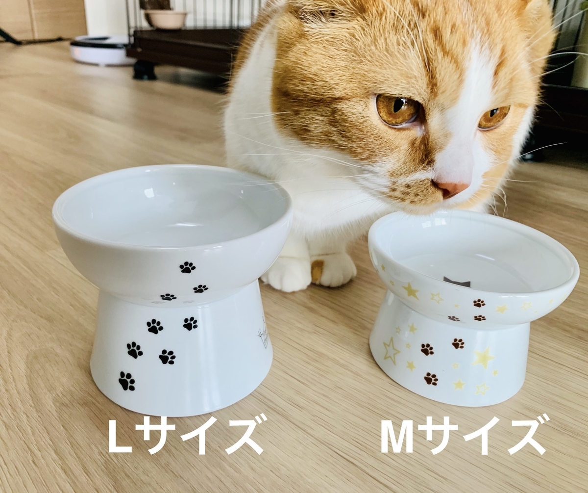 猫壱のフードボウルのサイズ