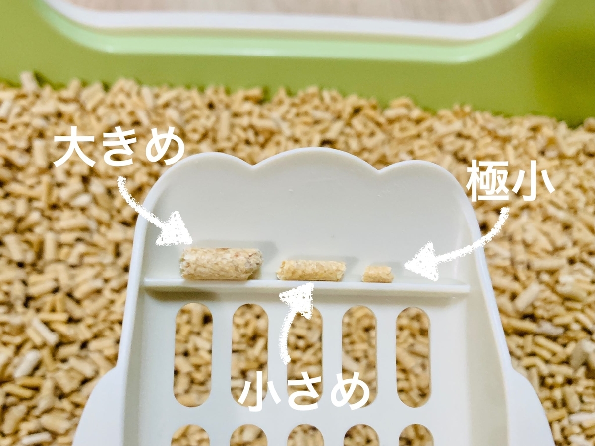 3種類の砂のサイズ比較