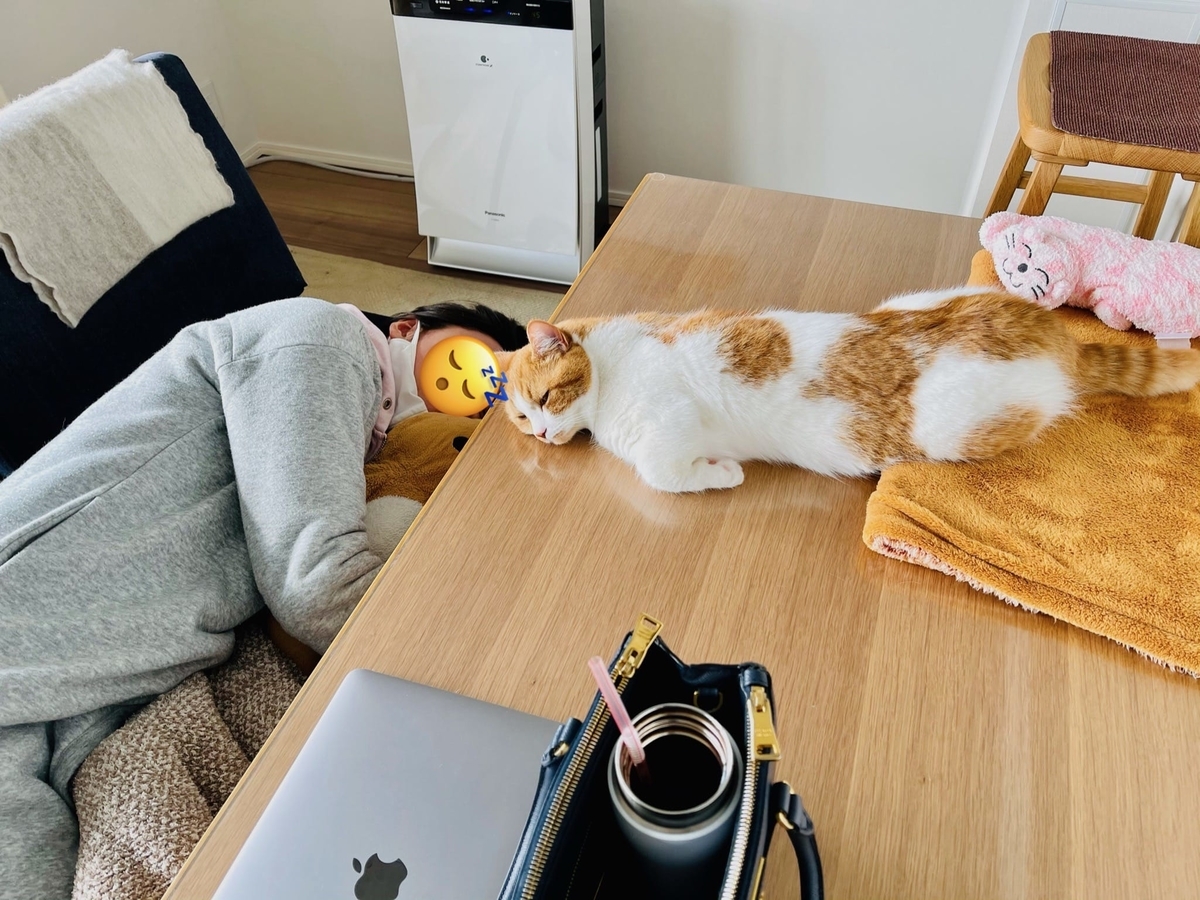 飼い主と一緒にお昼寝するるるちゃん3