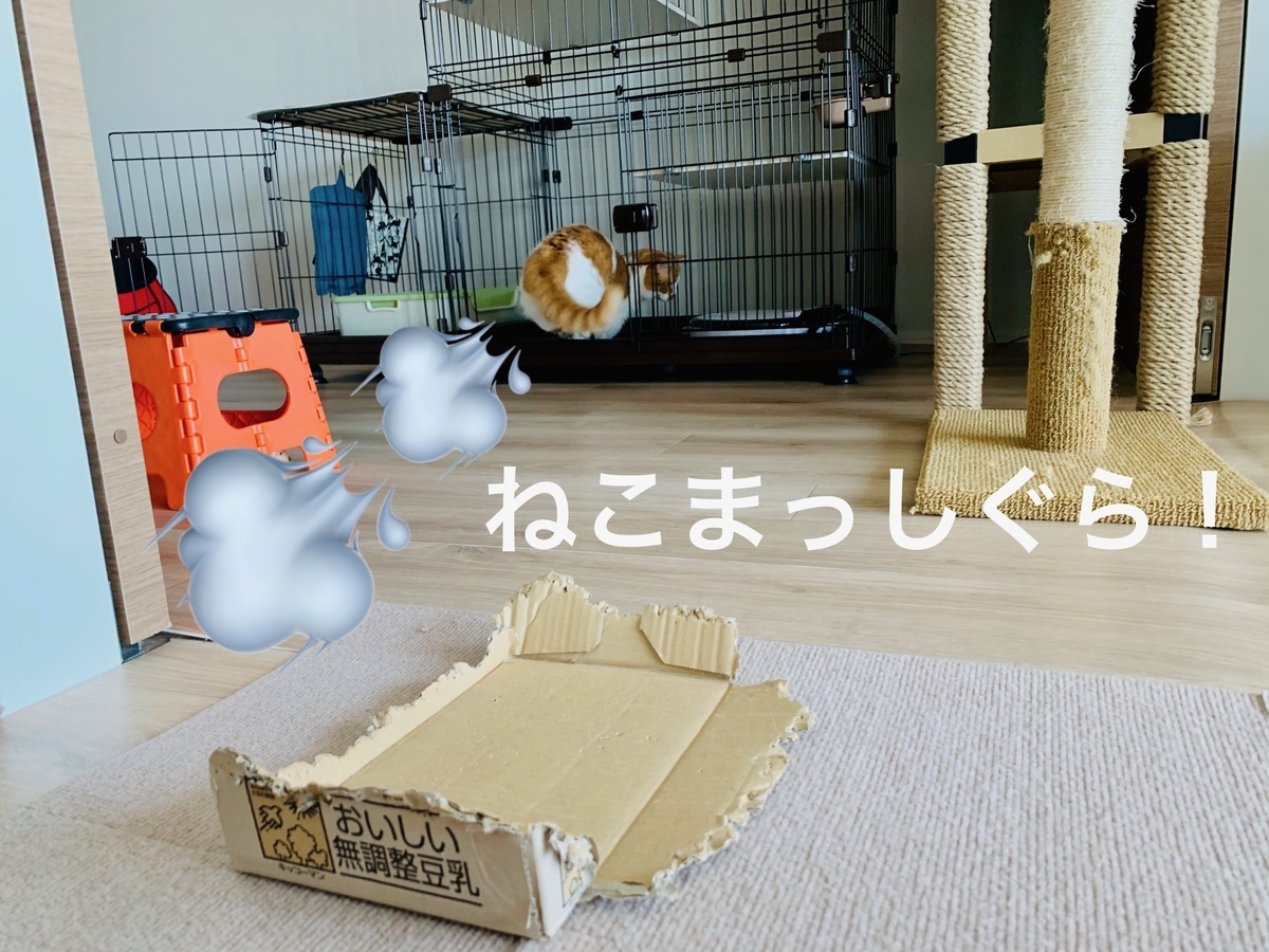 オートフィーダーへダッシュするるるちゃん