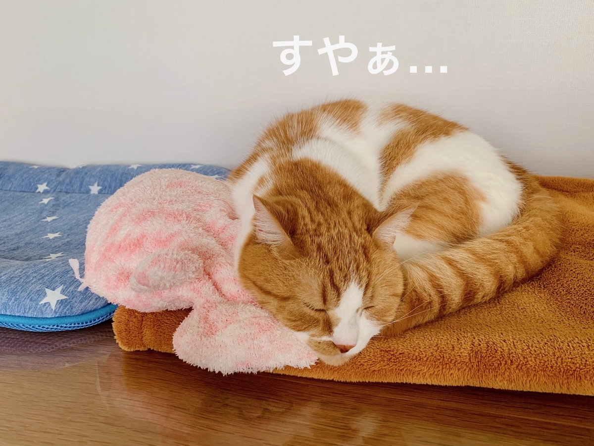 カントー地方とは ゲームの人気 最新記事を集めました はてな