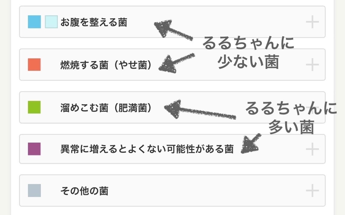 けんかつくんの結果4