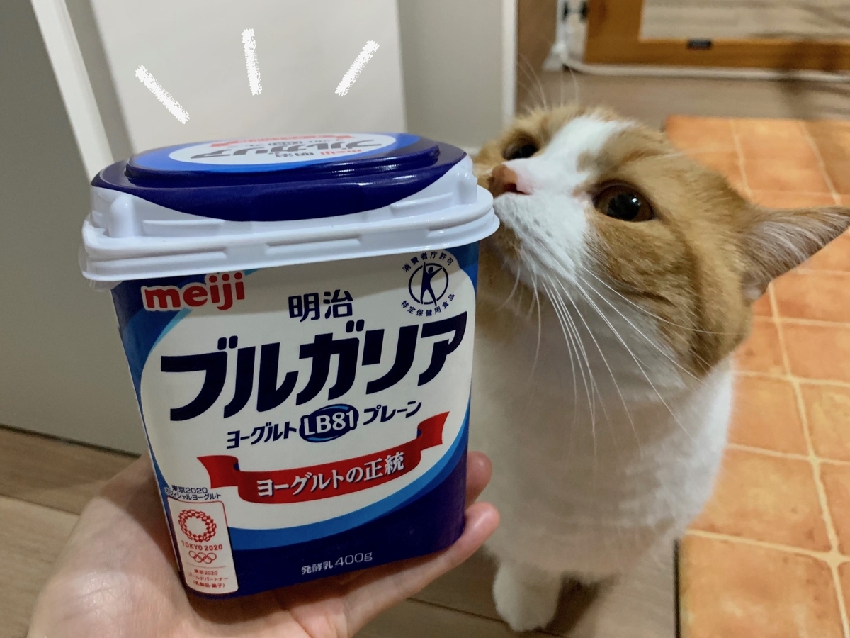 大好きなヨーグルトを食べ残したるるちゃん。原因はヨーグルトの蓋