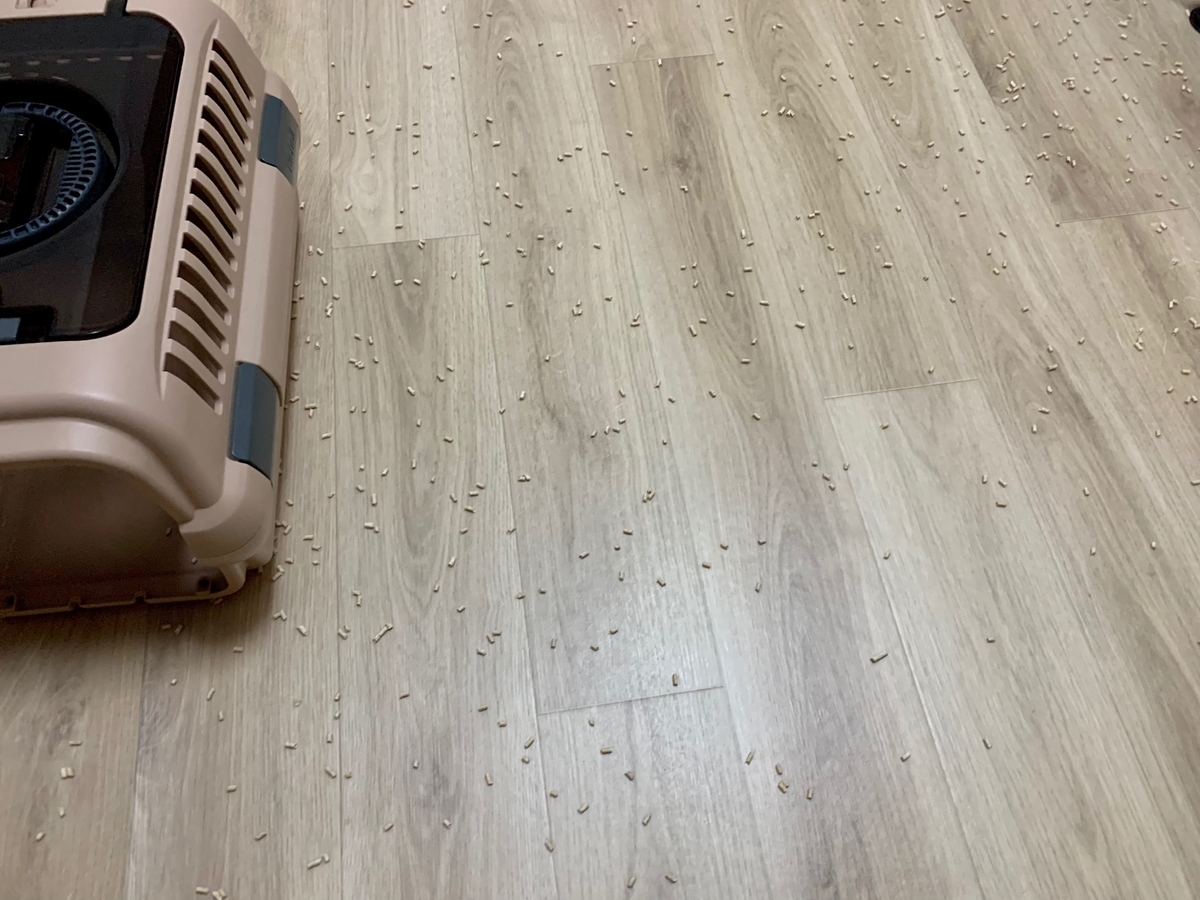 トイレチップが散乱したるるちゃん部屋4
