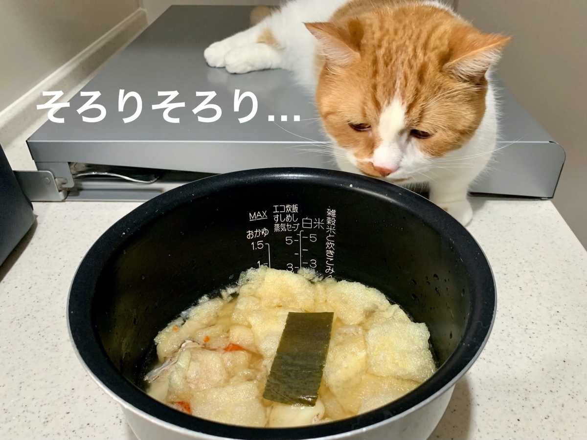 鯛めしとるるちゃん2