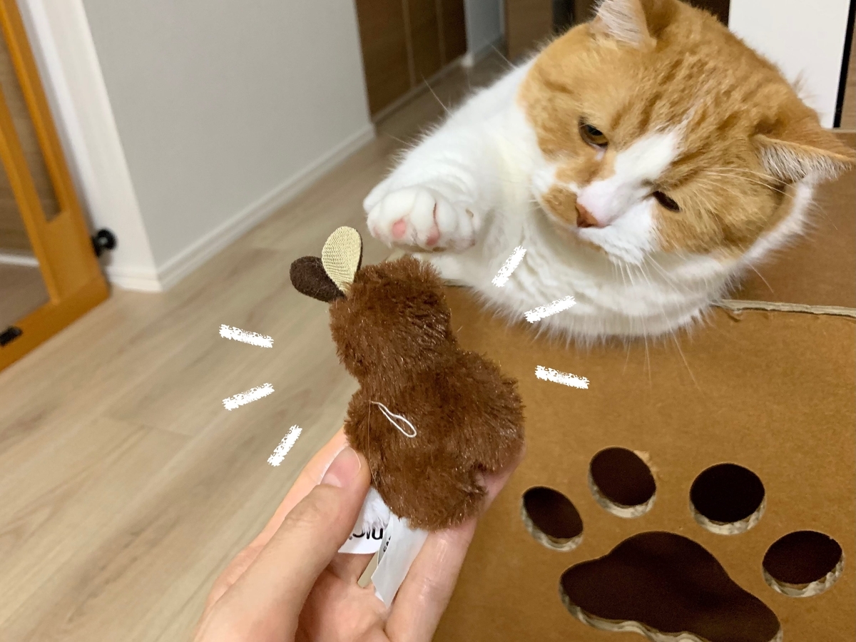 新しいウサギのおもちゃ