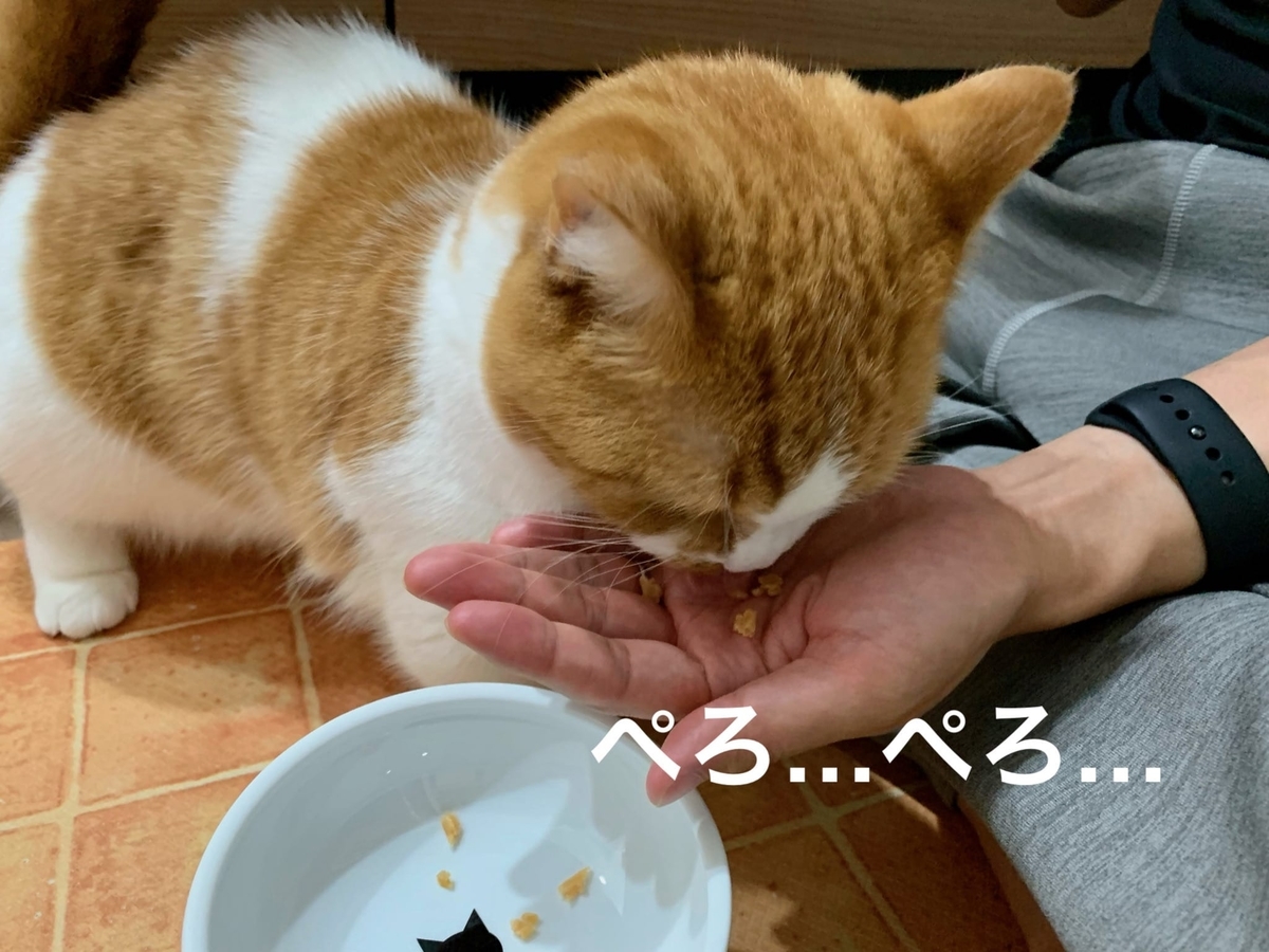 歯磨きおやつを食べ始めるるるちゃん2