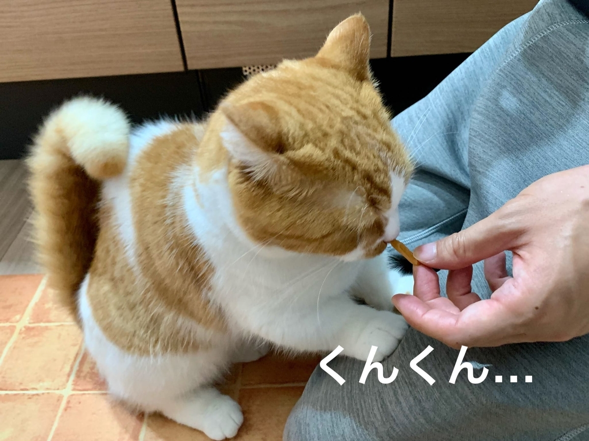 歯磨きおやつを食べ始めるるるちゃん1