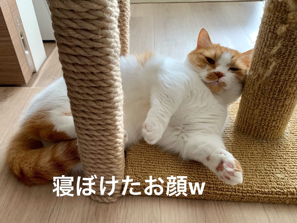 寝起きのるるちゃん