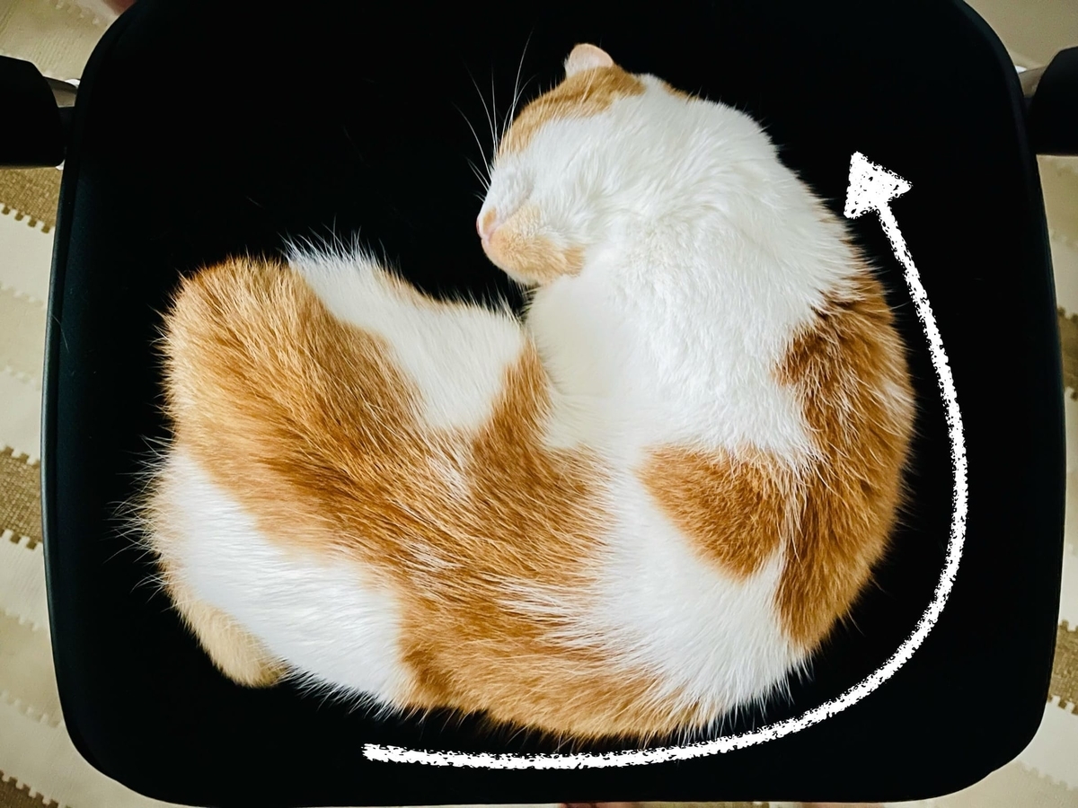 すごい寝相のるるちゃん5