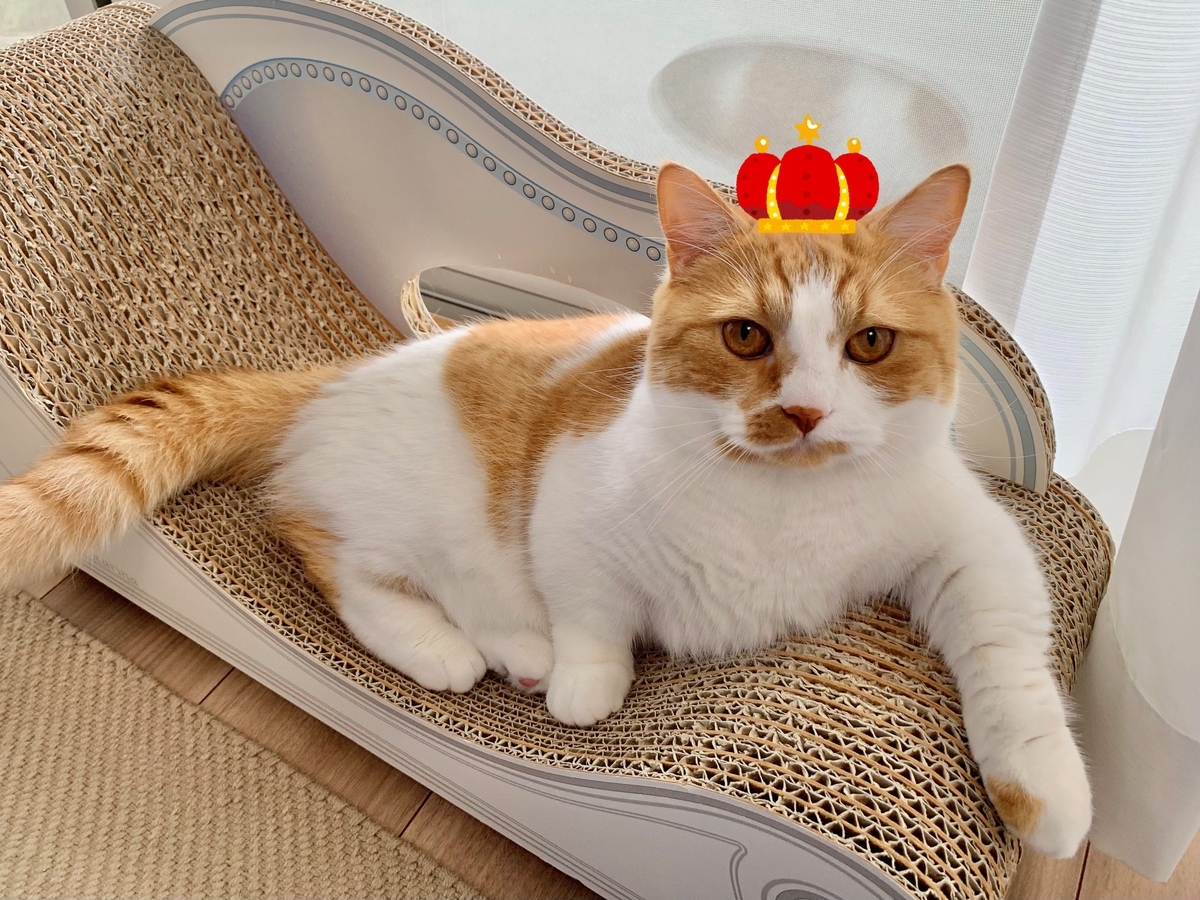 雅なるるちゃん